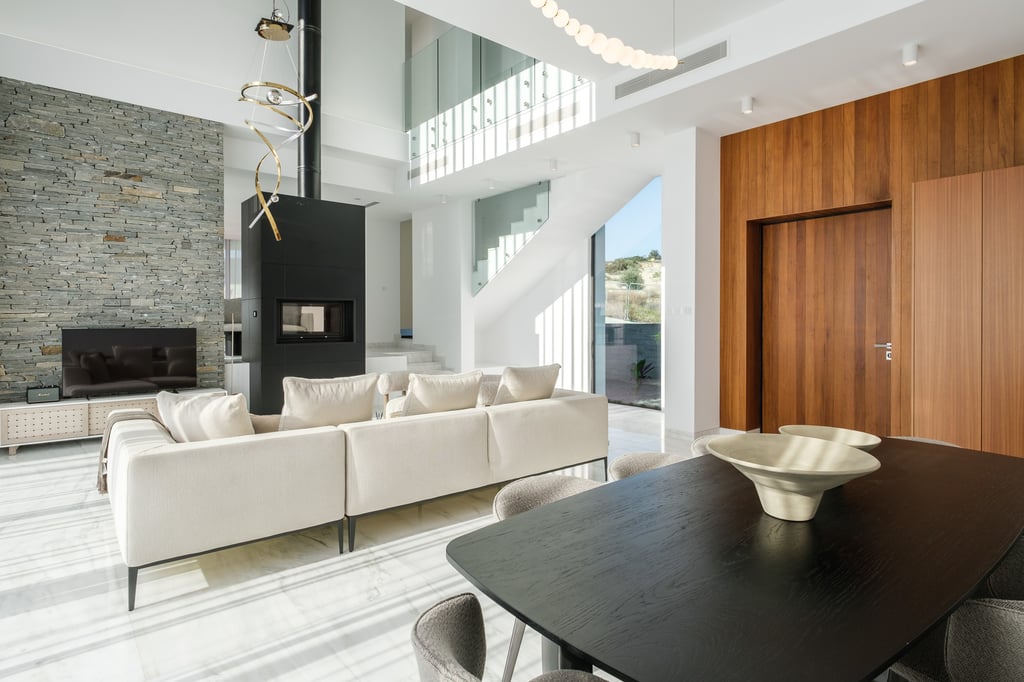 Premium apartment living room with modern finishes